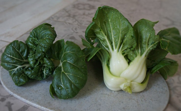 Chinese Cabbage Pak Choi — фото