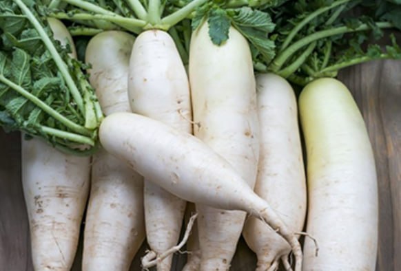 Daikon radish — фото