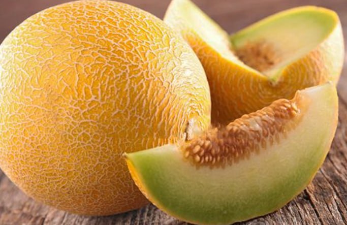 Melon Kolkhoznitsa — фото