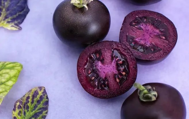 Tomato Blueberry Sorbet — фото